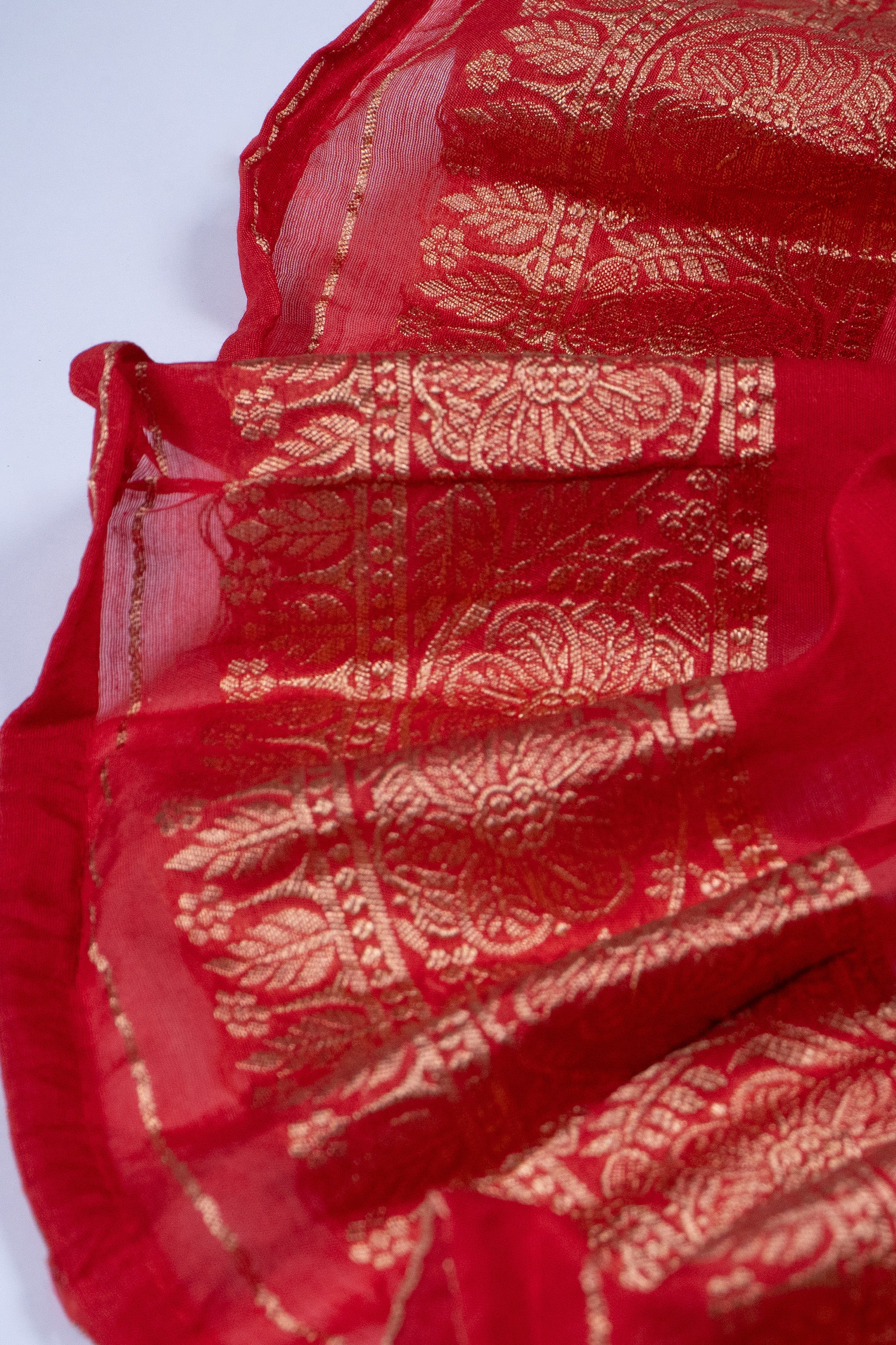 Chandrika - The Celestial Glow Saree