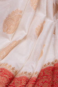 Kamalini - The Radiant Power Saree
