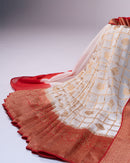 Sarvani The Eternal Grid Saree