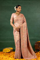 Raagini - The Multicolor Melody Saree