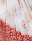 Ambika The Quiet Strength Saree