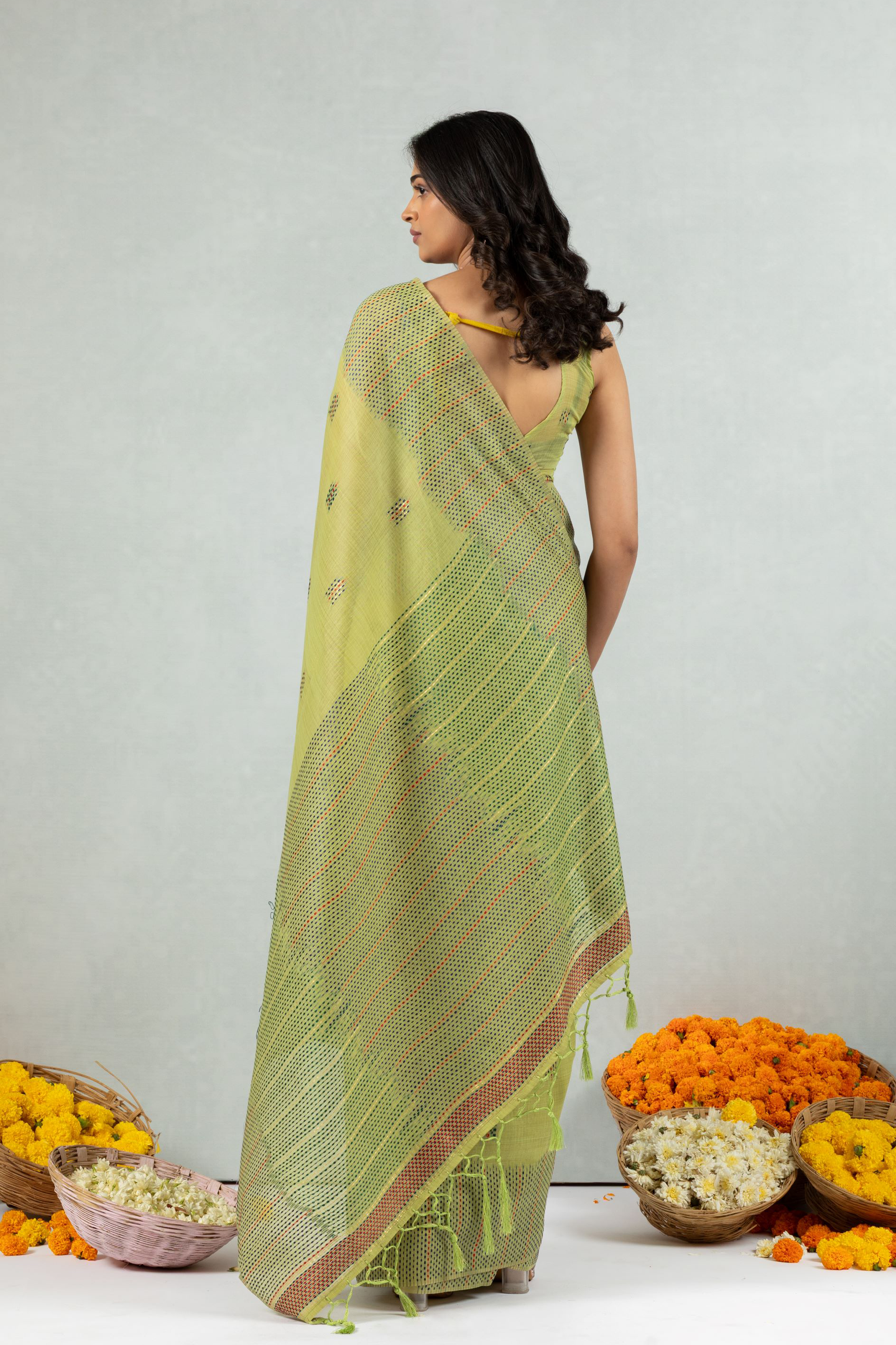 Pranika - The Threaded Meadow Saree