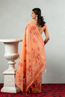 Ilaana  The Bloomed Canvas Saree