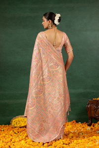 Raagini - The Multicolor Melody Saree